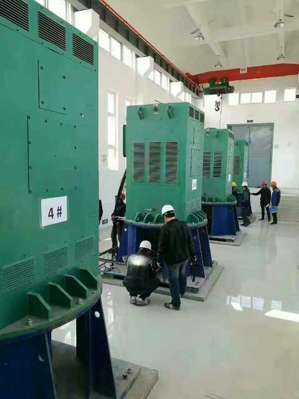 迎江某污水处理厂使用我厂的立式高压电机安装现场品质保证